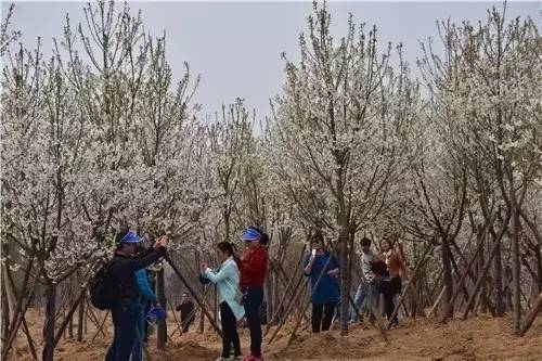 从头再来 推荐视频
