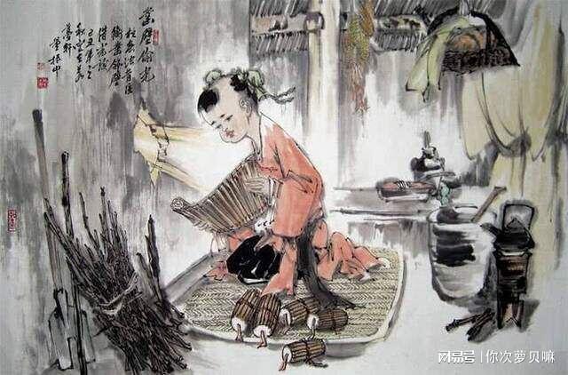 体外实验 推荐视频