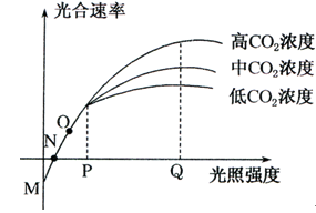 七十二家房客第十部