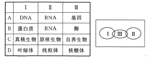 七十二家房客第十部