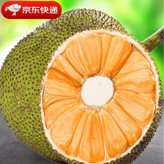 他是传奇 推荐视频