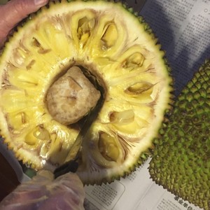 去处不遥远 推荐视频